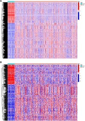 Identification of an immune-related gene prognostic index for predicting survival and immunotherapy efficacy in papillary renal cell carcinoma